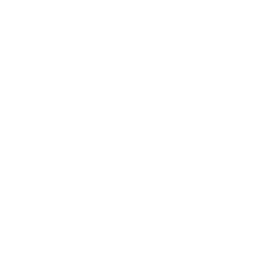 SAFE NIKA Inc